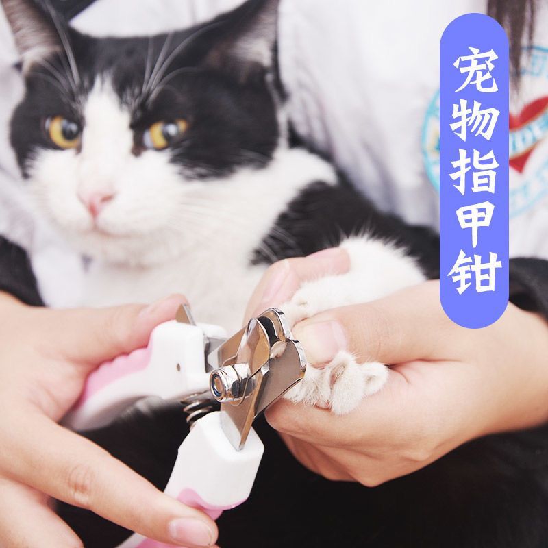 貓貓狗狗指甲剪猫咪剪指甲刀宠物清洁用品