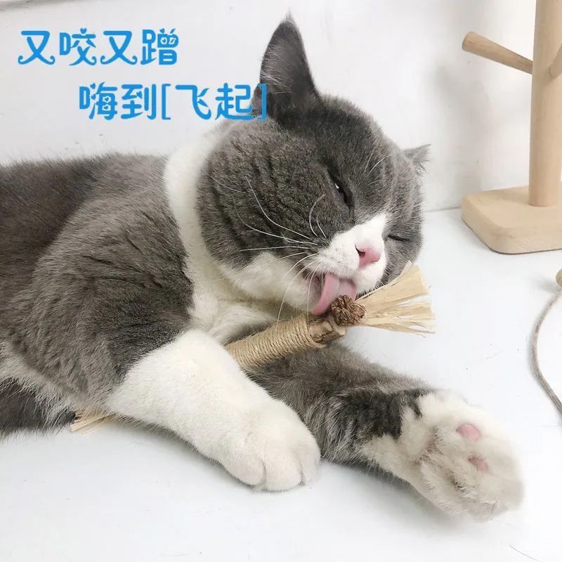 抖音木天蓼虫瘿果磨牙棒猫猫玩具麻绳木天蓼猫棒猫零食宠物用品