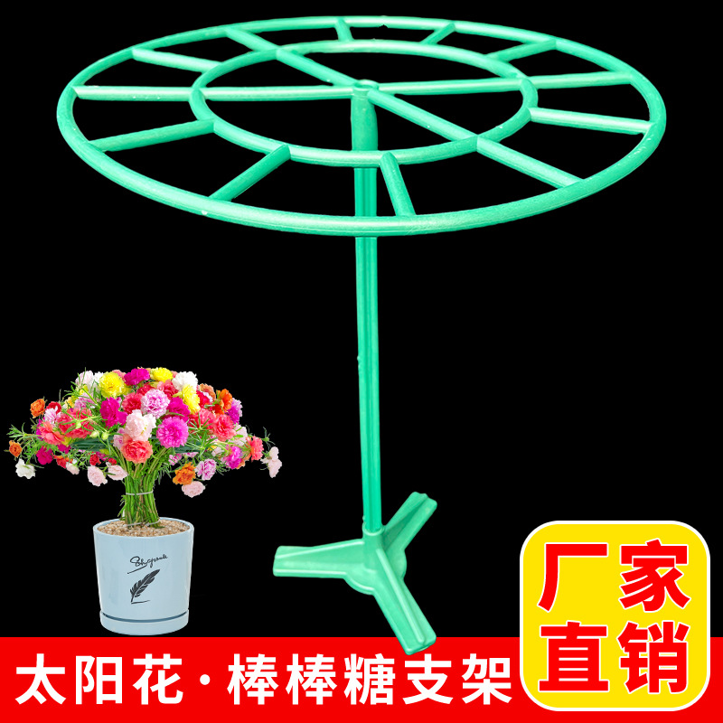 太阳花棒棒糖支架造型蟹爪兰花架植物架子爬藤支撑固定塑料架
